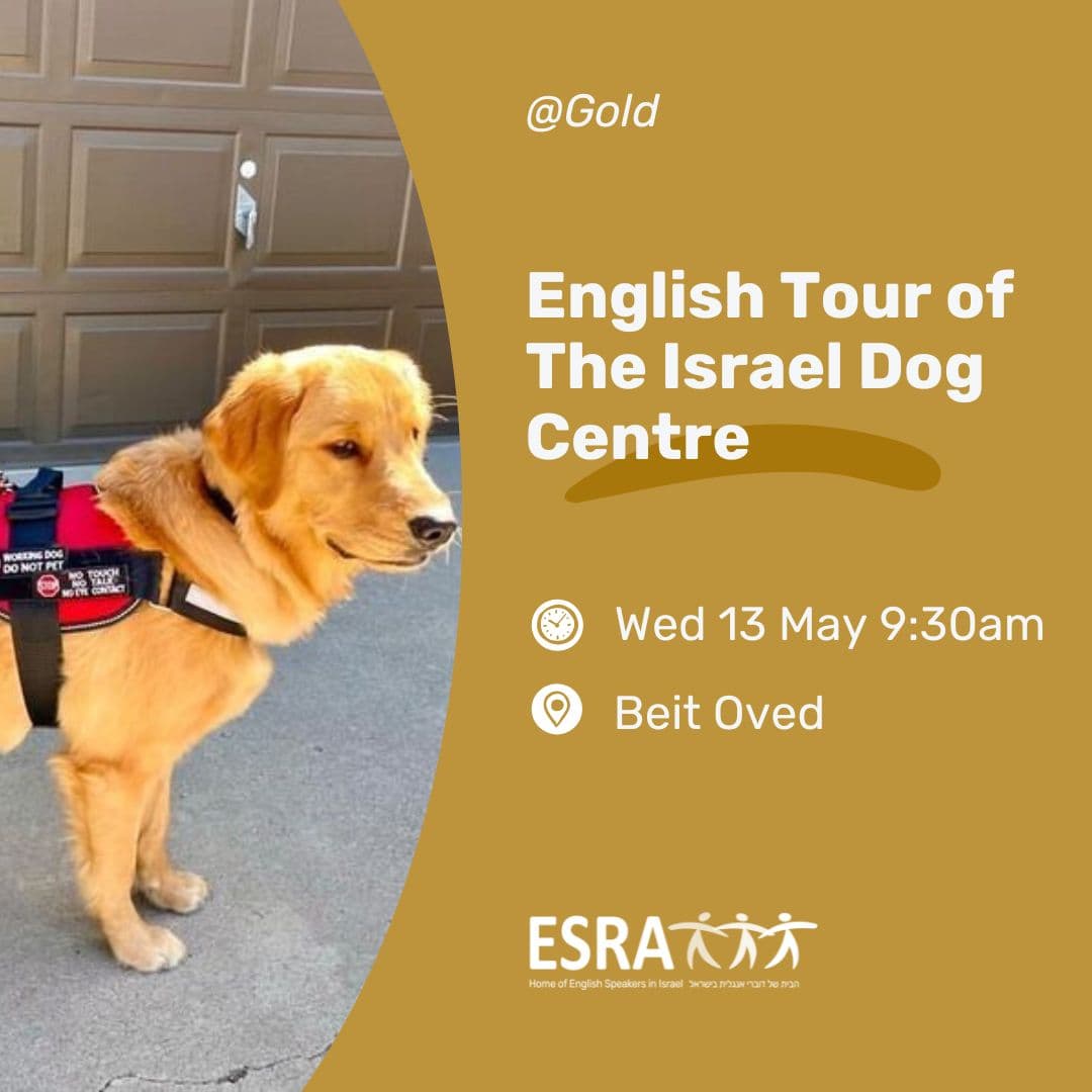 English Tour of The Israel Dog Centre