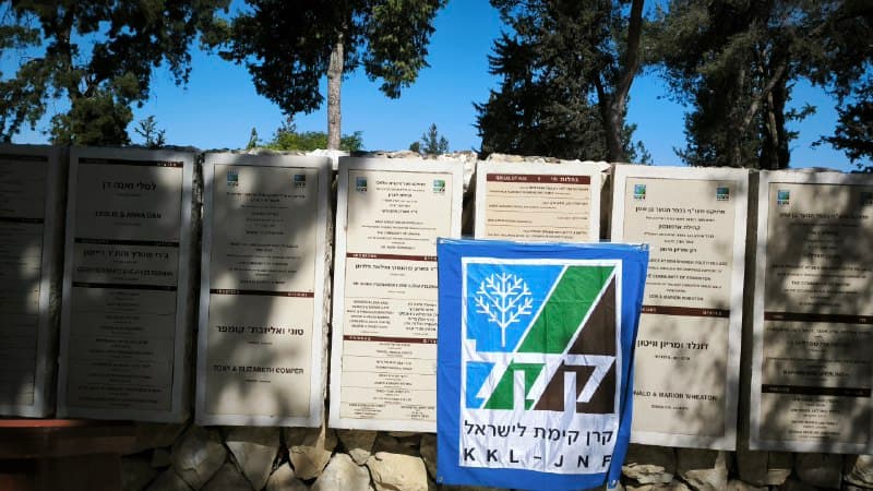 По следам поездки и для тех, кто не участвовал в сборе, но хочет внести свой вклад в озеленение наше