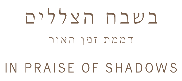 Curator's Talk with Shoshi Chechnover | In Praise of Shadows