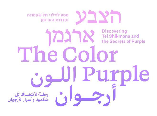 בשבח הצללים