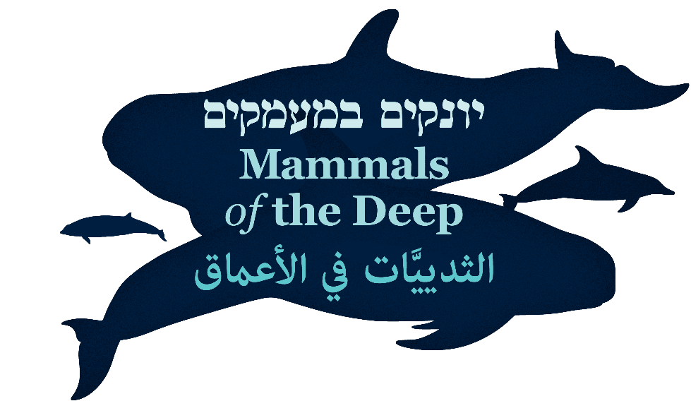 בשבח הצללים